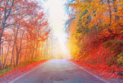 Batı Karadeniz Turu