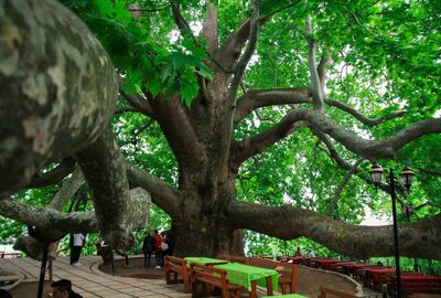 Uludağ Kayak Turu ve Kar Keyfi