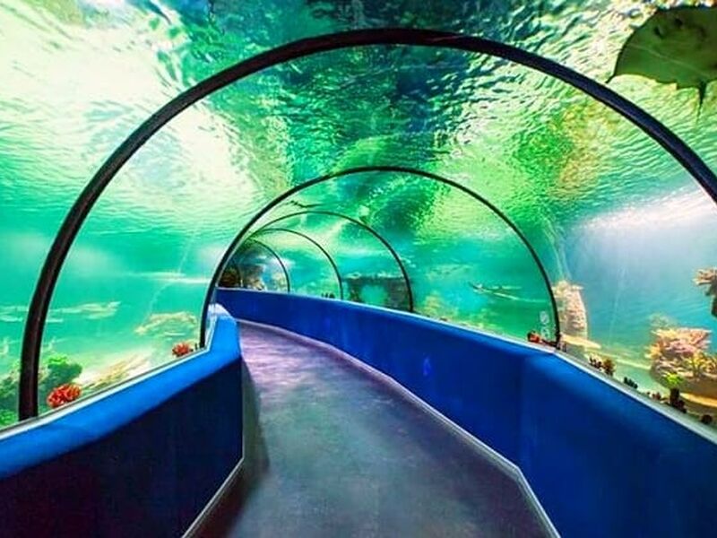 Eskişehir Odunpazarı Turu